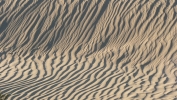 PICTURES/Death Valley - Sand Dunes/t_P1050713.JPG